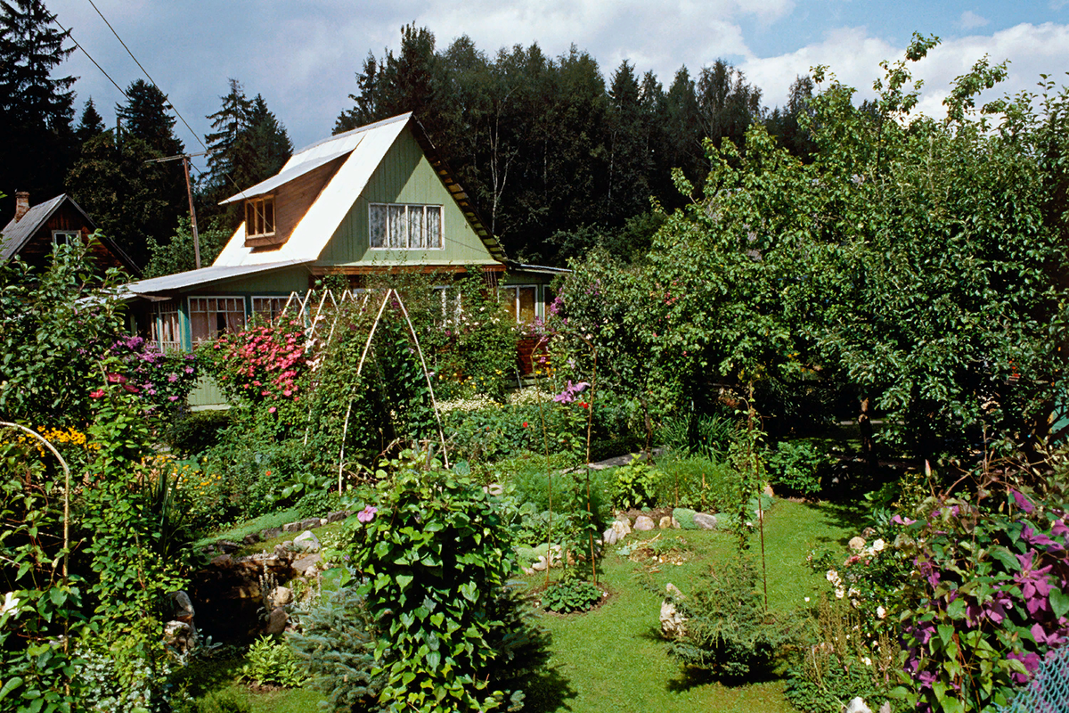 Сад на склоне