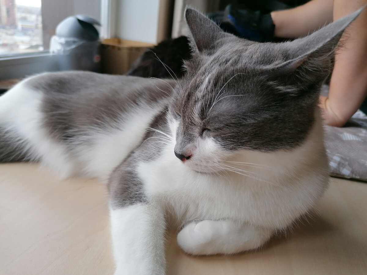 Если сильно боишься, то глазки вот так закрой и не читай такие новости. Слушай своих любимчиков: Конашенкова, Кадырова, они молодцы. И не сиди без дела. Говорят стресс вышагивать надо, вот и иди шагай-гуляй!