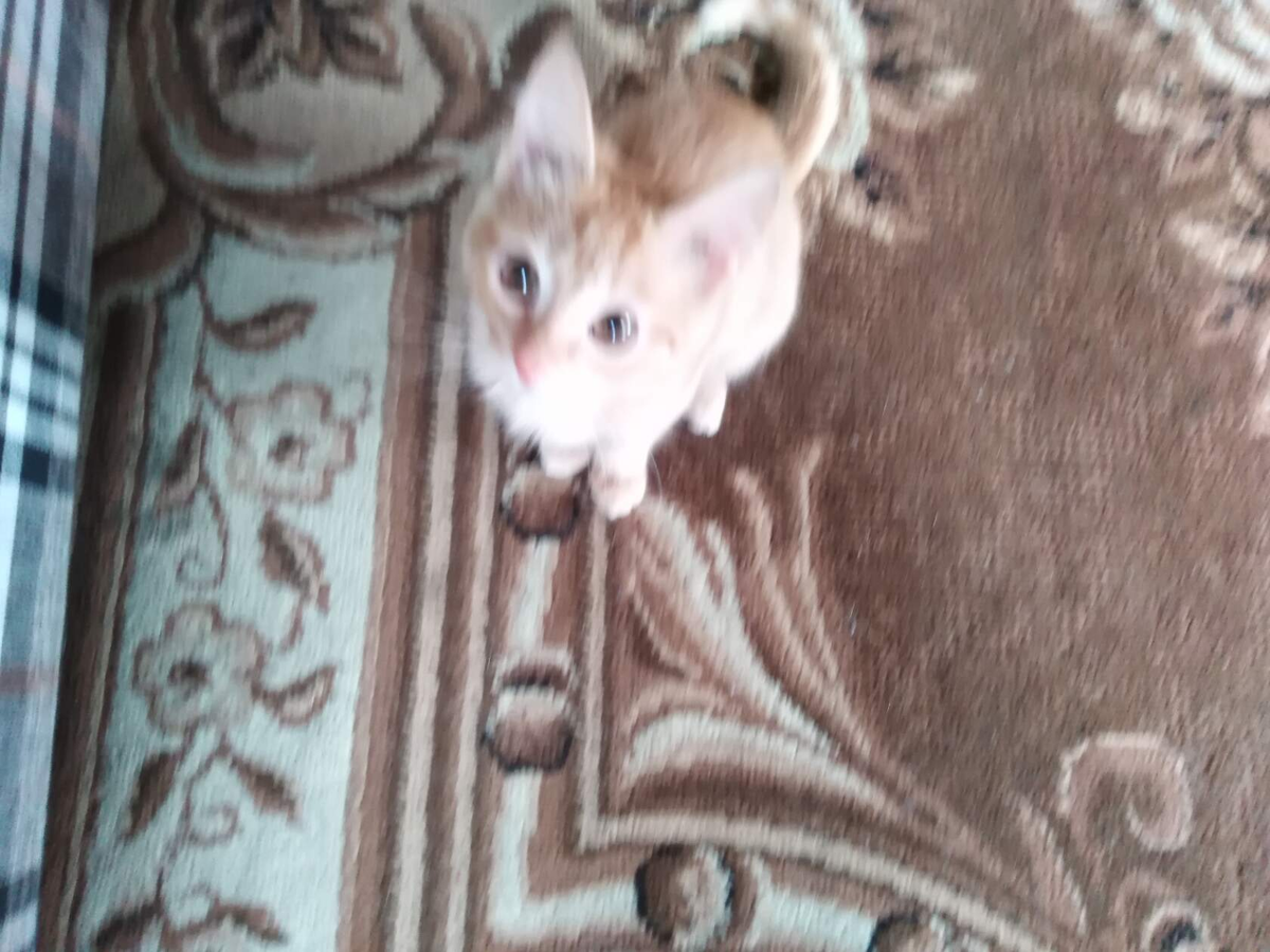 До свидания! 