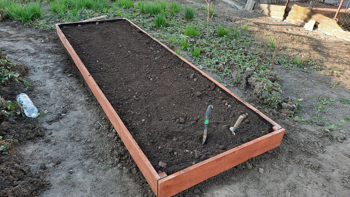 Делаем красивые, деревянные грядки для клубники. | Только вперед | Дзен