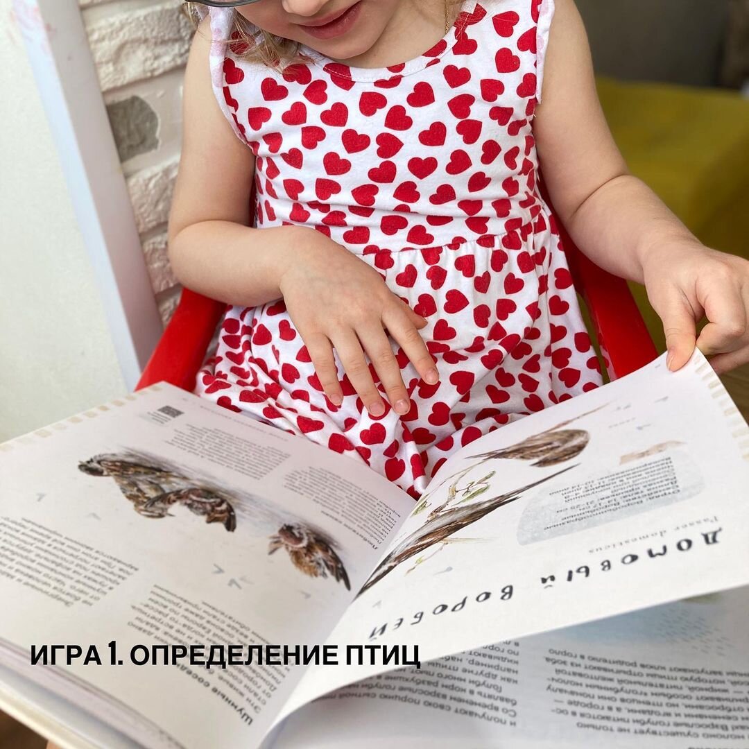 Определяем птиц по книге «Птицы в городе» издательства МИФ