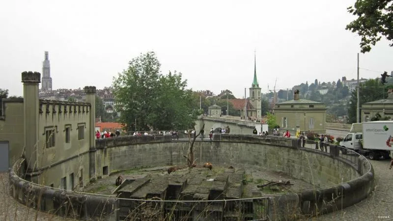 Медвежья яма