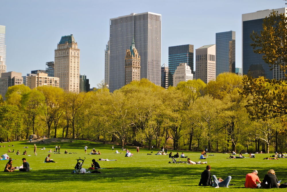 Гайд парк нью-йорк. Central park is. Центральный парк нью-йорк. Центральный парк нью-йорк. Америка центральный парк нью-йорк.