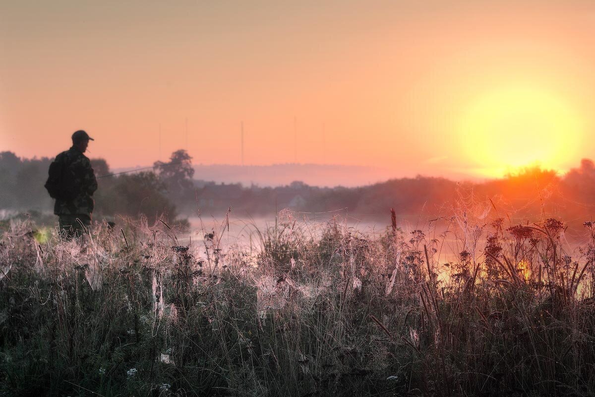 ... Видимо, любовь живёт, даже, не три года... Фото в свободном доступе. 