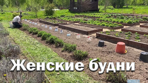 Женские будни // Навожу порядок // Экскурсия по огороду