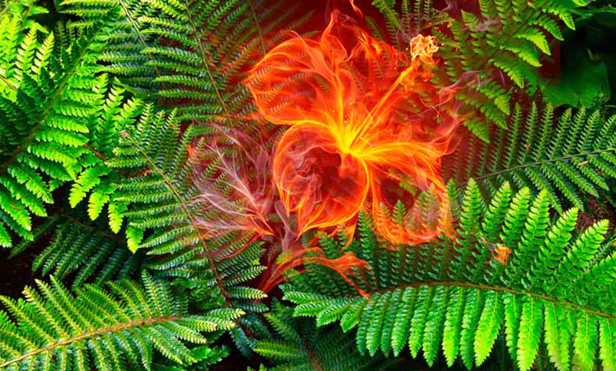 яндекс картинки