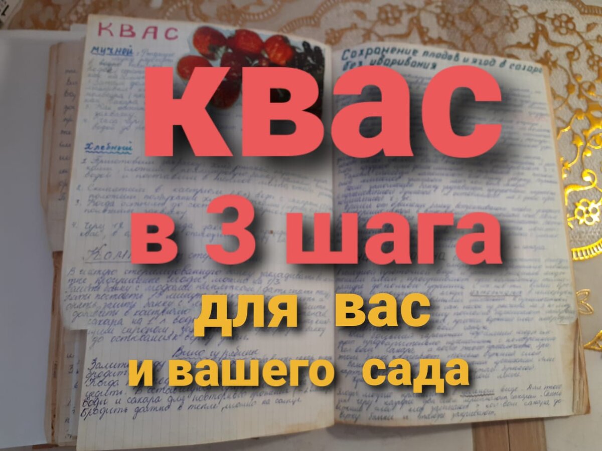 Квас. 2 простых рецепта моих бабушек. Пошагово. Как использовать квасную  гущу в саду? | Моя усадьба - мой мир | Дзен