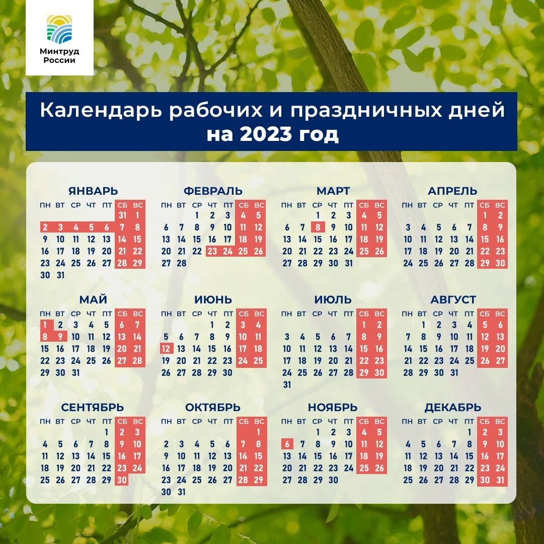 Календарь рабочих и праздничных дней в 2023 году. Фото: Минтруд