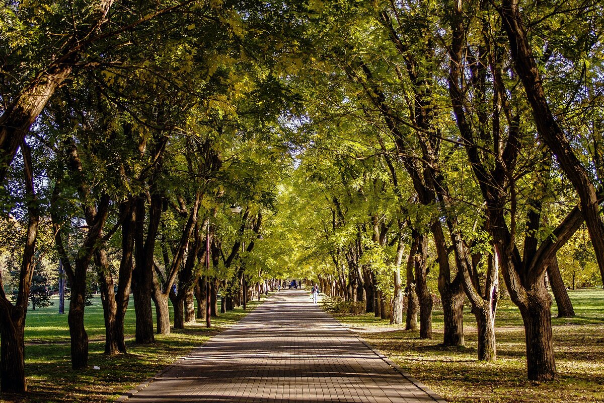 парк городской в краснодаре