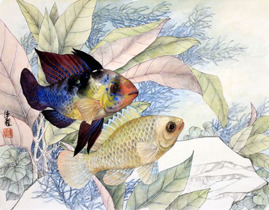 ����� ����-����� � Zhen LianQuan TwoCichlids sj