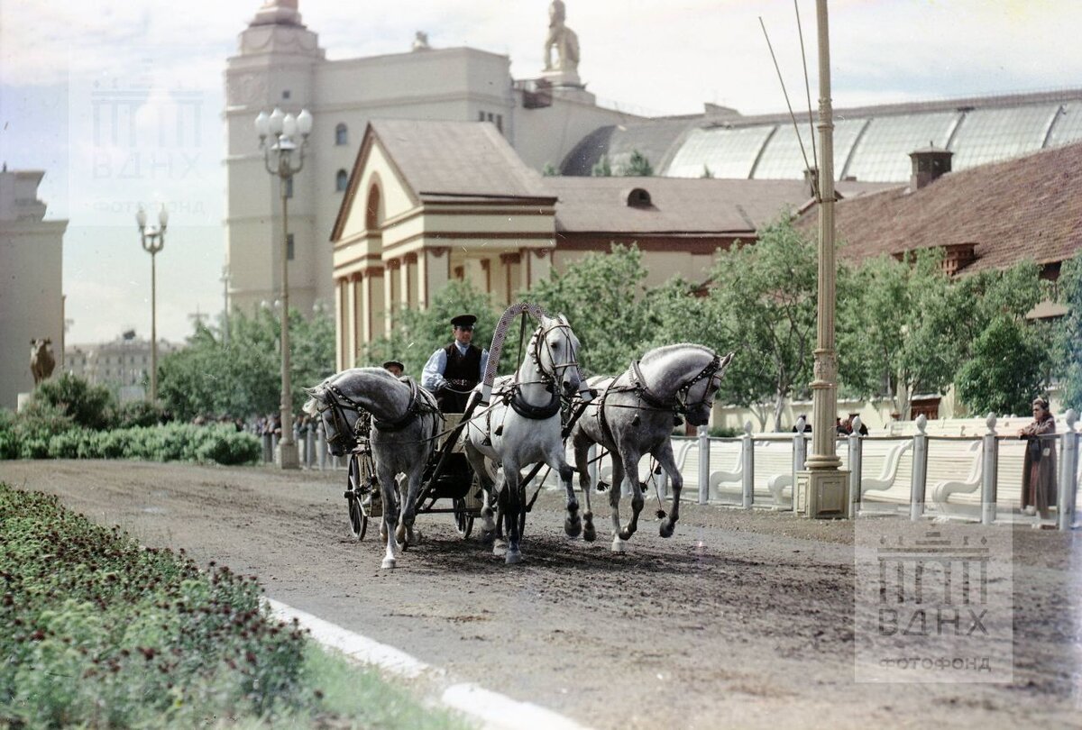 Выводной круг. Тройка. Дата: 1957 год. Источник: Музей ВДНХ.