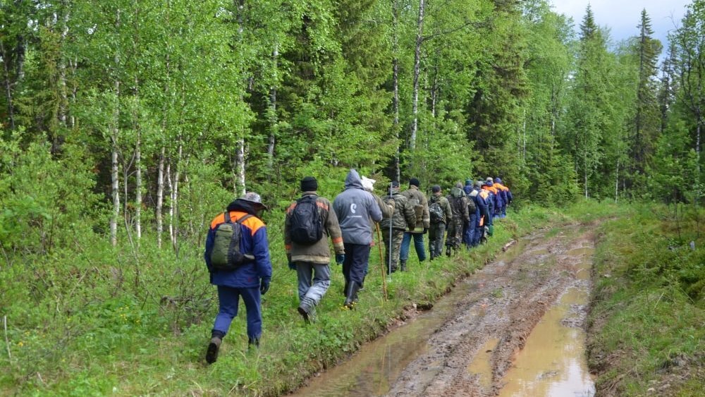    Фото ГУ МЧС по Свердловской области