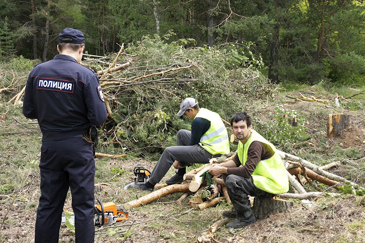 Жители требовали от подрядчика не ведомость, а лесопорубочные билеты, не дождавшись которых вызвали полицию