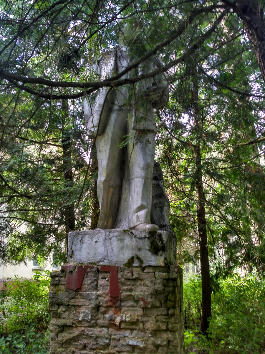 Ленин в зарослях туи