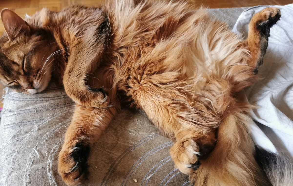 Фото из личного архива автора