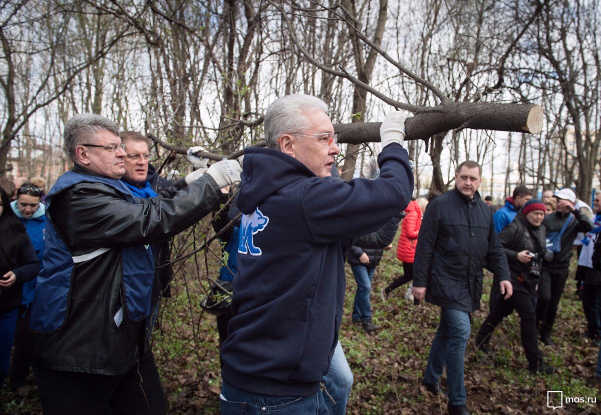 Яндекс Картинки. Мэр столицы. Единственный, у кого есть рабочая роба. Значит работает физически! И не только плитку класть, но и бревно нести!