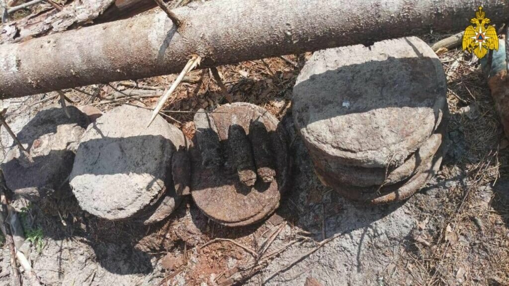 ФОТО: ГУ МЧС России по Брянской области