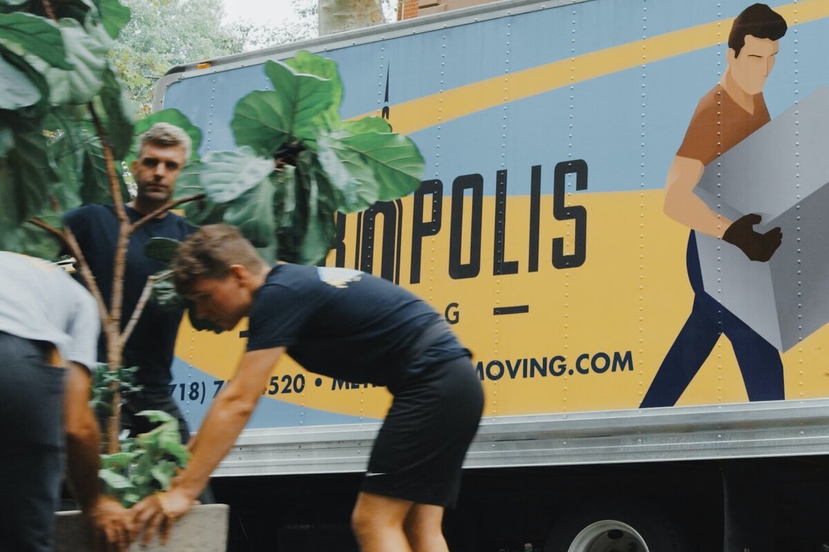     Перевозка комнатных растений: ошибки, которые могут убить ваш цветок