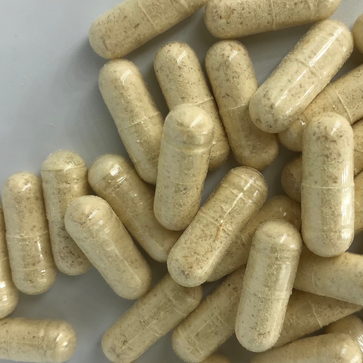 Ежовик Гребенчатый в капсулах