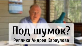 Под шумок? Реплика Андрея Караулова