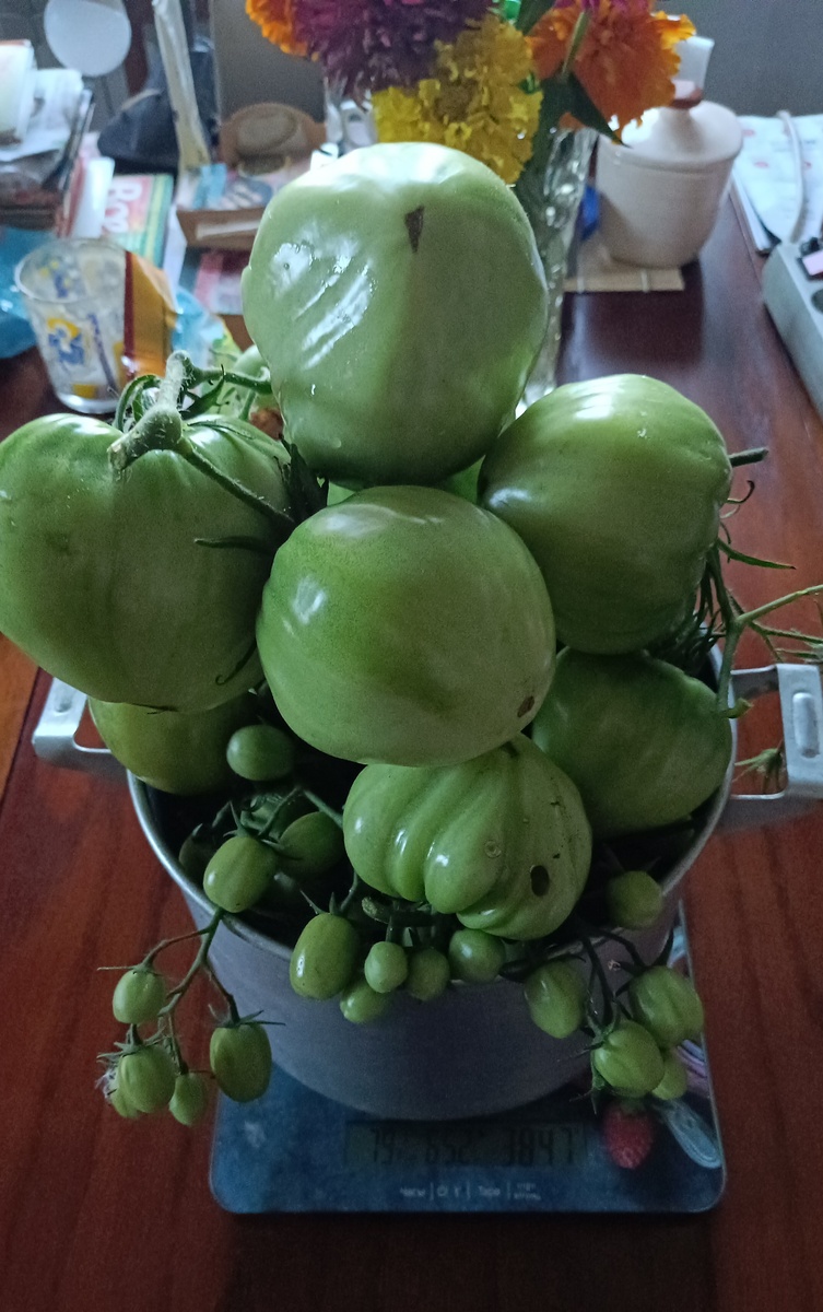 Фото из личного архива 