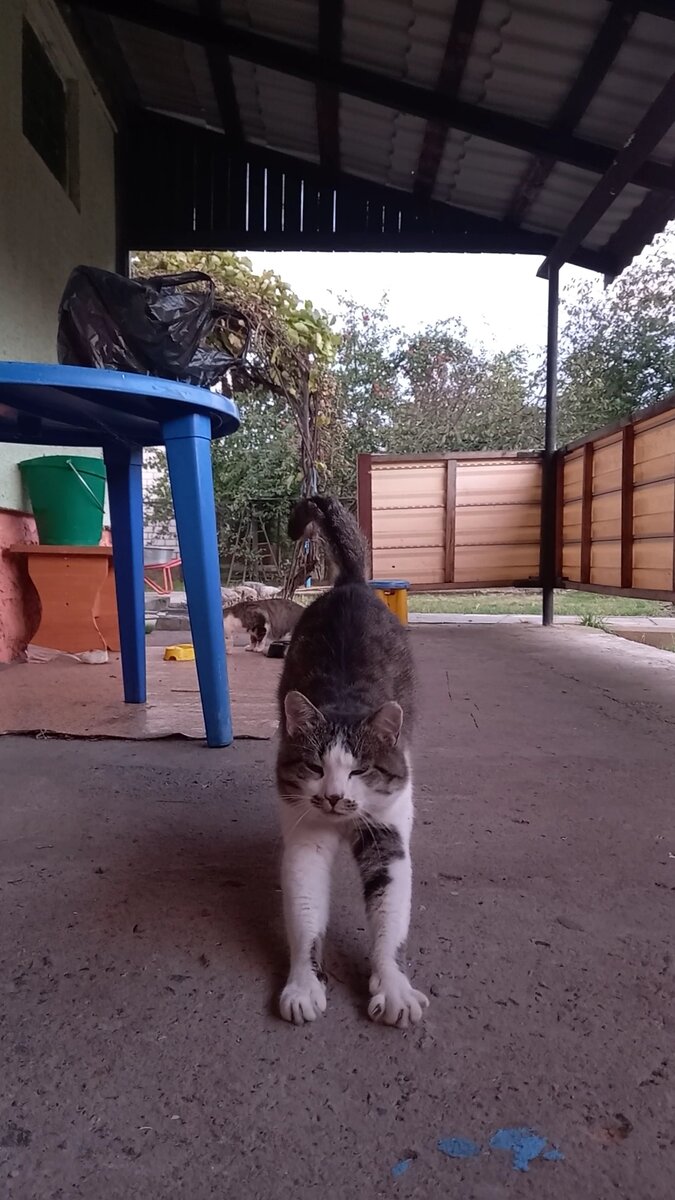 Этот старик сам пришёл к нам и остался.