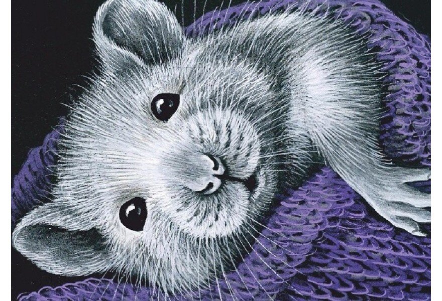 ������ �����-2