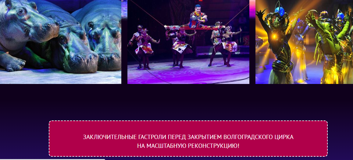 https://www.circus-volgograd.ru/#top