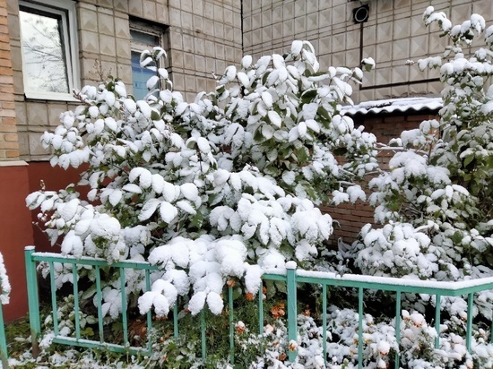     Фото: "МК в Томске"