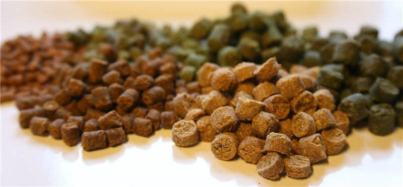 Многие рыболовы слышали о пеллетсе, но далеко не все знают, что это такое и как его применять. Он предназначен для ловли карпа, сазана, толстолобика, амура и форели, на отдельных водоемах им активно интересуется крупный карась. Приманкой и компонентом прикормок для трофейной рыбалки пеллетс стал относительно недавно, а раньше это был гранулированный корм, которым в рыбоводных хозяйствах откармливали промысловую рыбу семейства карповых. А поскольку рыбаки – народ изобретательный, постоянно экспериментирующий, нет ничего удивительного в том, что однажды кто-то добавил пеллетс в прикормочную смесь и попробовал насаживать его на крючок.

Гранулы оказались очень даже эффективными и были по достоинству оценены карпятниками, которые до этого отдавали предпочтение бойлам. Охотники за трофейным карпом применяли бойлы и как насадку, и в качестве прикормочной добавки, но отныне у этого недешевого продукта появился достойный конкурент, так сказать, бюджетная альтернатива, позволяющая ловить крупную рыбу с таким же успехом. Что это такое и как его использовать будем разбираться ниже.