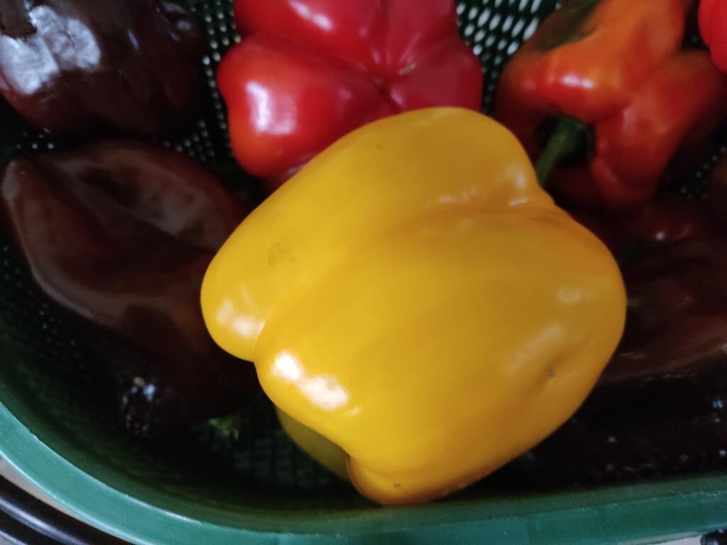 Купить семена Перец сладкий Sweet pepper Healthy в Москве: доставка семян по Рос