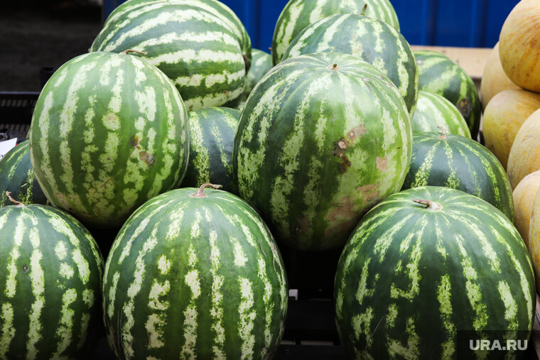    В Таджикистане выстроили пирамиды из фруктов в честь дня рождения Путина