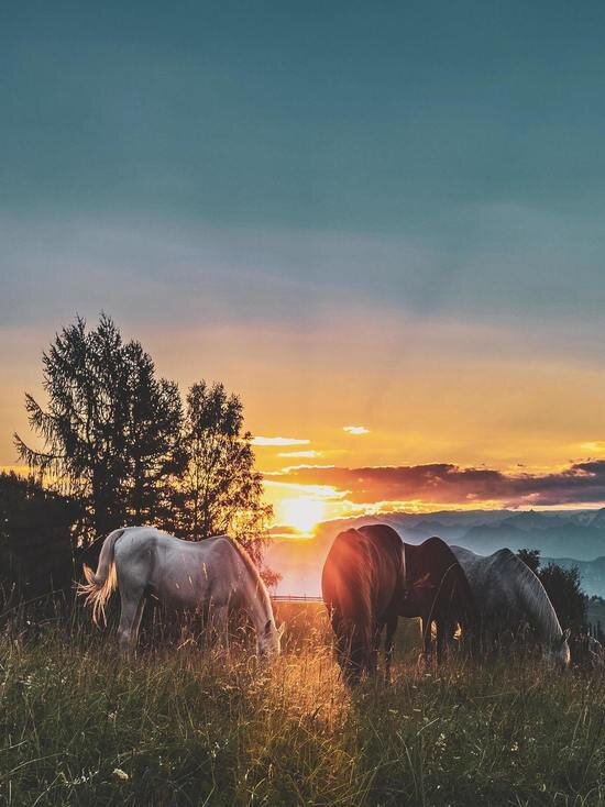     Фото unsplash.com