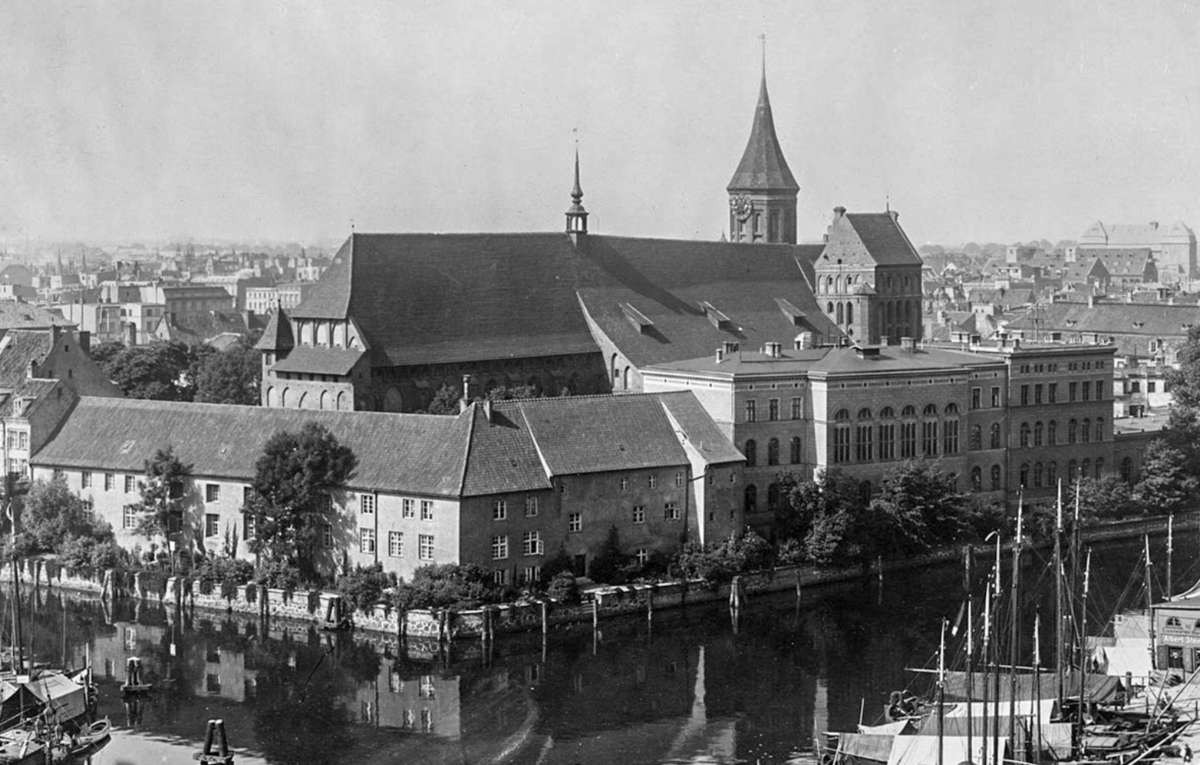 Восстановление кенигсбергского собора в калининграде. Альбертина Кенигсберг Кнайпхоф. Университет Альбертина на острове Канта в Калининграде. Остров Канта (Кнайпхоф). Остров Кнайпхоф Калининград после войны.