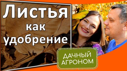 Рекомендуем! Бесплатное удобрение из листьев