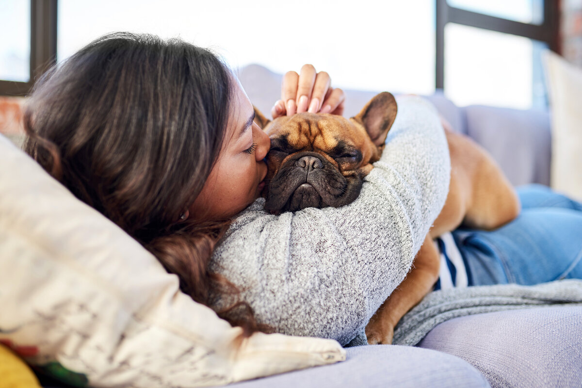 Pet cuddles