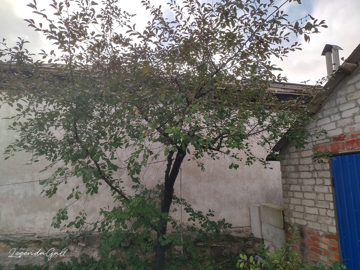 Это я еще только часть обрезала