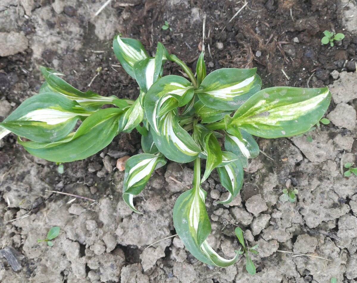 Безымянная. Личное ото.