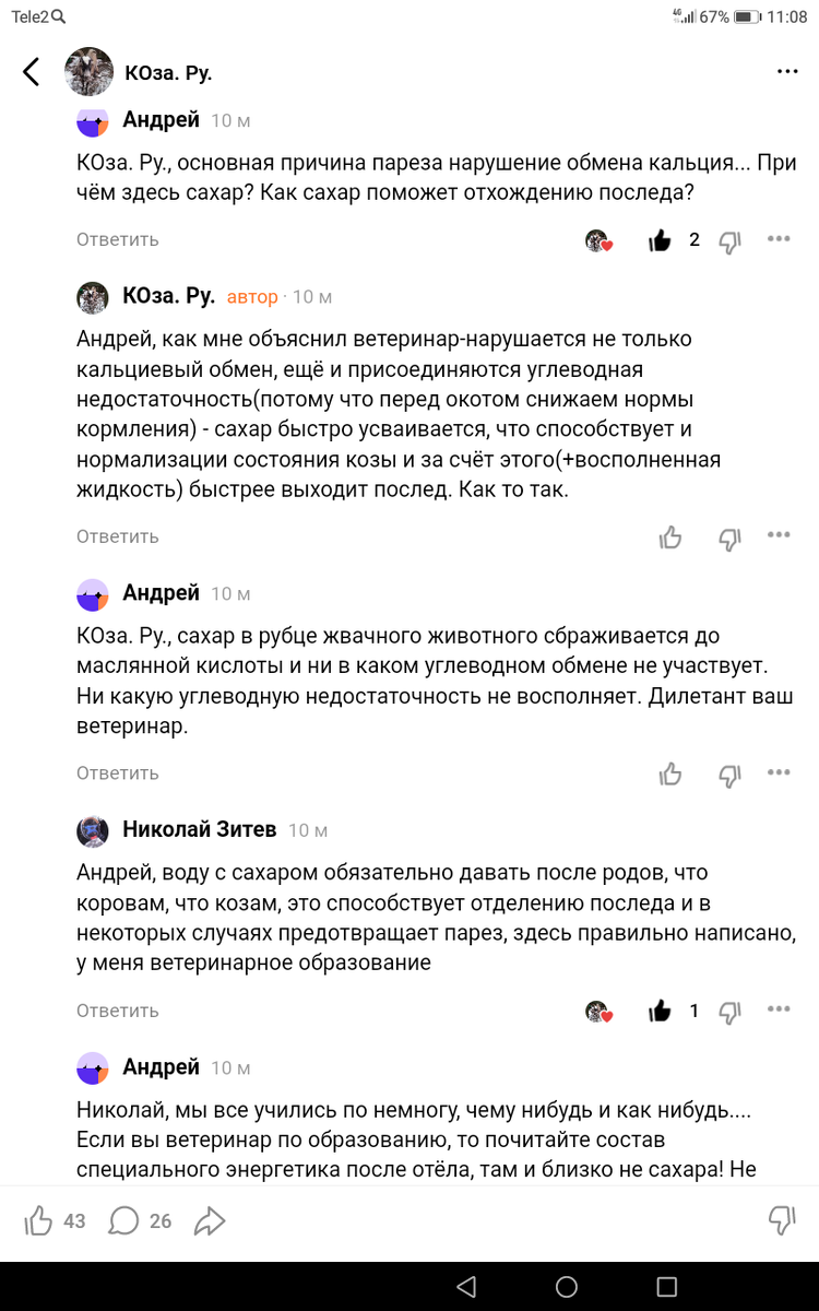 Фото автора. 