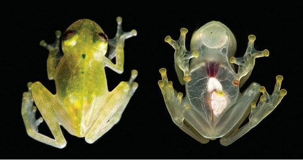 Фото: Live Science