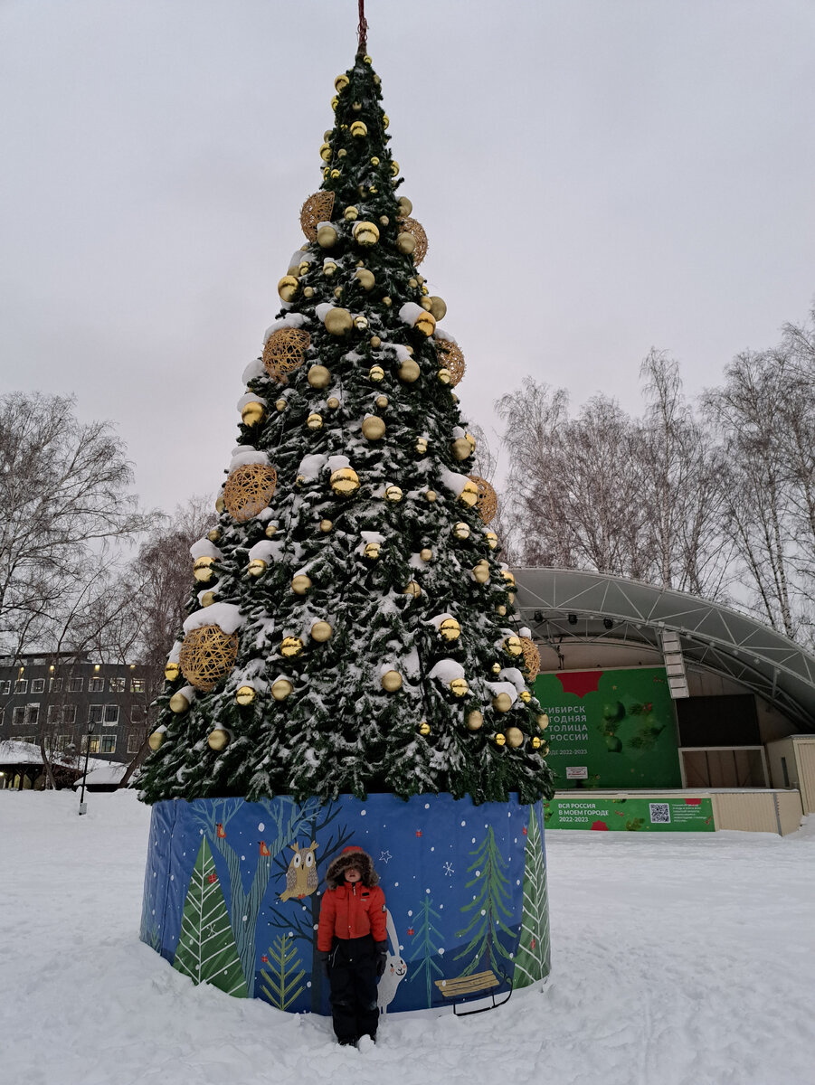 Ёлки в Березовой роще🎄 | Прогулки по городу N. | Дзен