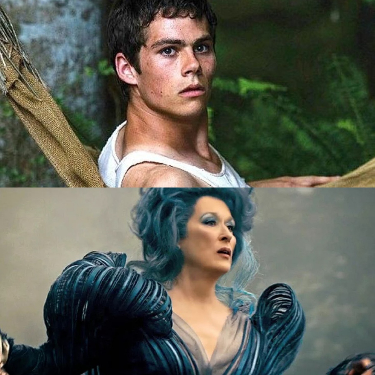 Победители в номинациях 