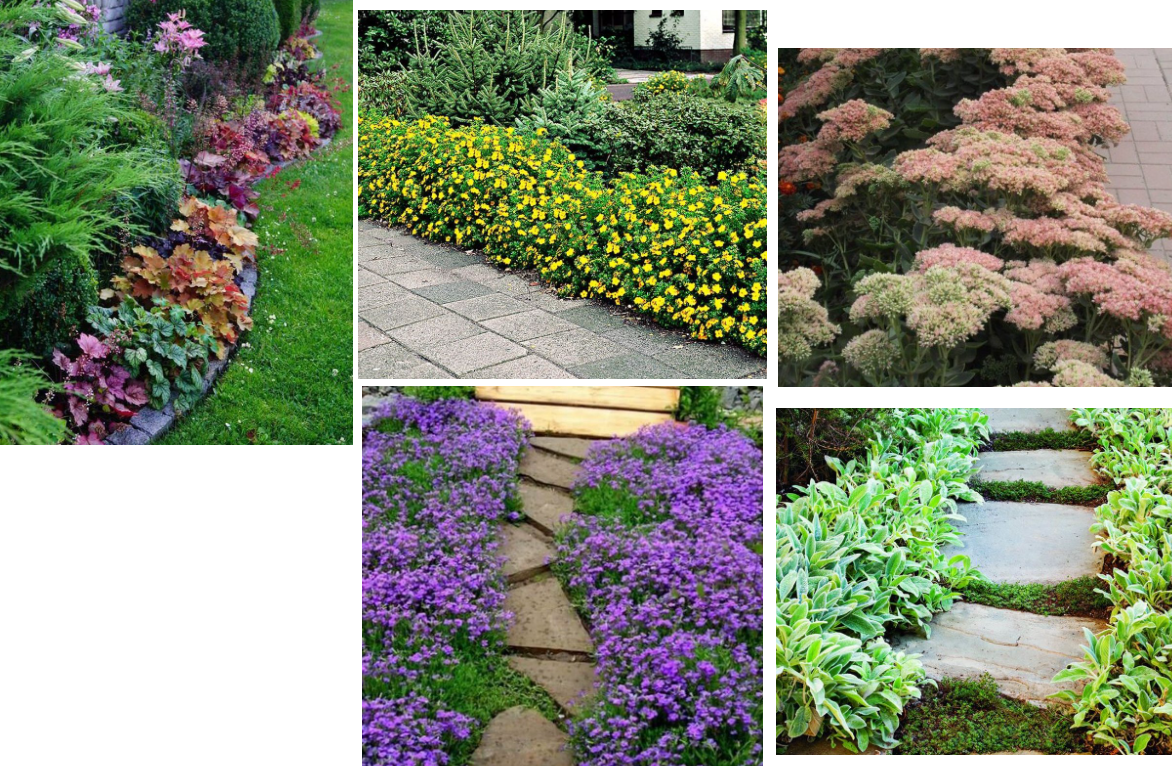 смотрим слева направо, потом спускаемся ниже и снова слева направо смотрим