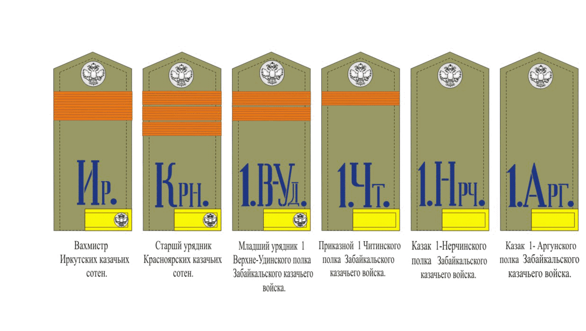 Казачьи погоны и звания нового образца