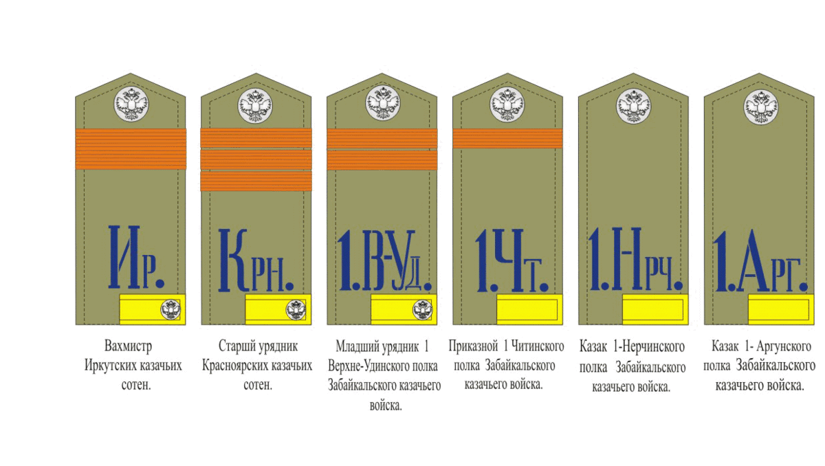 Погоны есаула в казачьих войсках фото