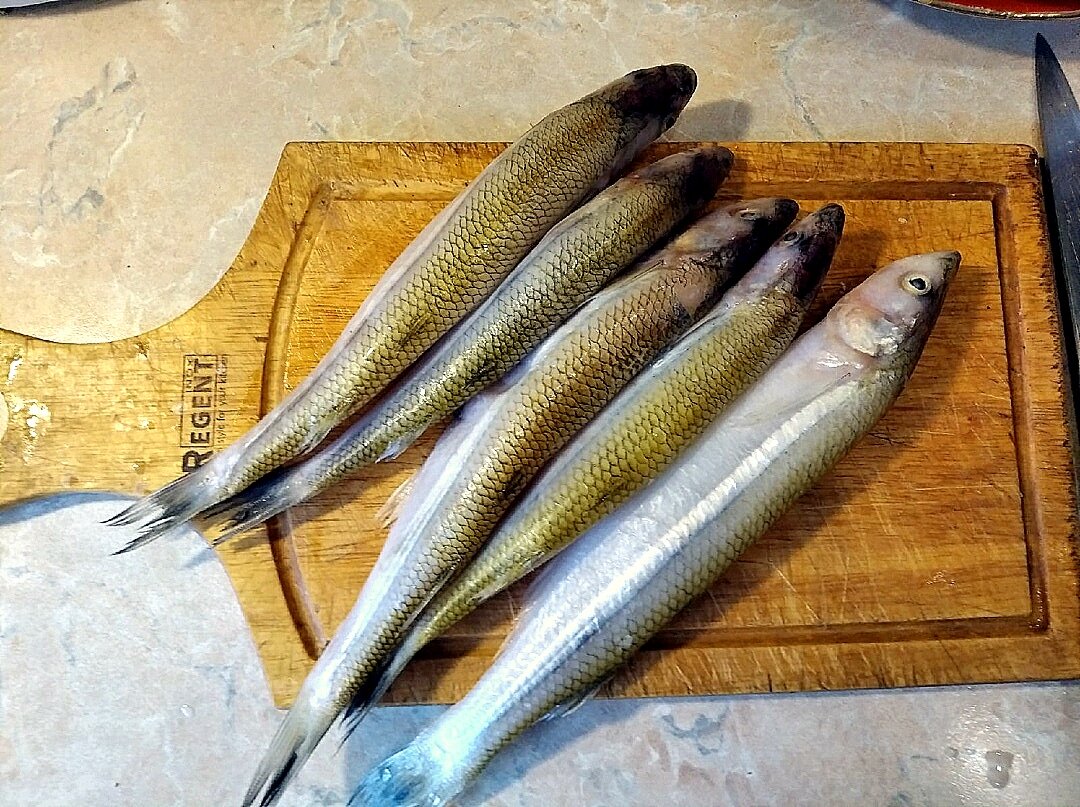 Довольно крупная корюшка