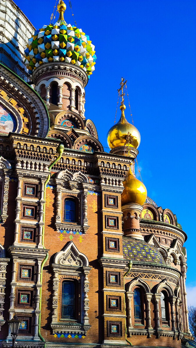 Фото Лианы Романовой