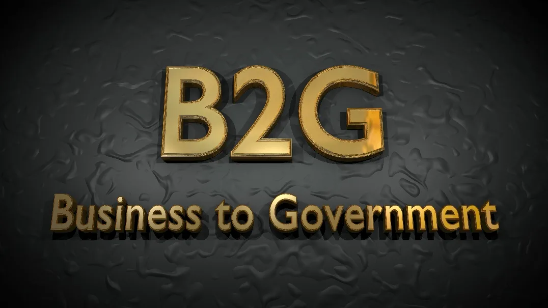 Битуби. B2g. B2g бизнес. B2g (Business-to-government). G2b модель.