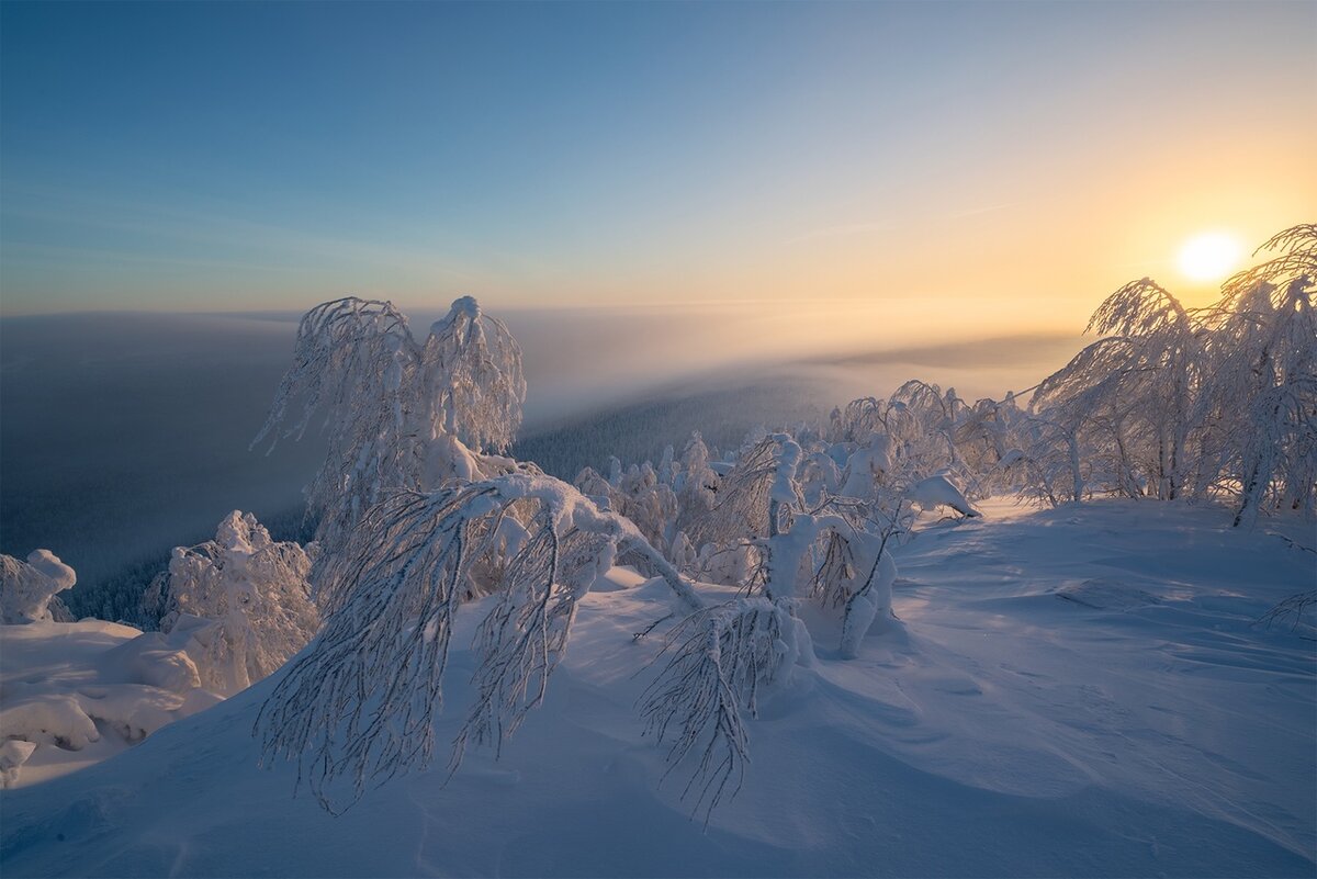 (Фотография Андрея Базанова)