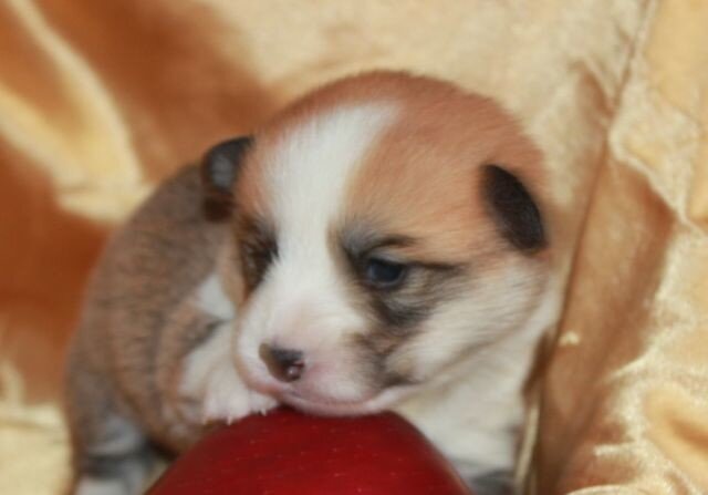 когда мы были совсем маленькими.